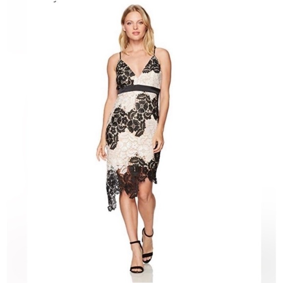 Bardot Lace Cocktail Dress Black White Nude Floral Bodycon Asymmetrical Hem 10 - Picture 2 of 11